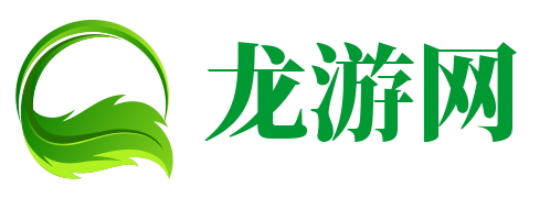 龙游网