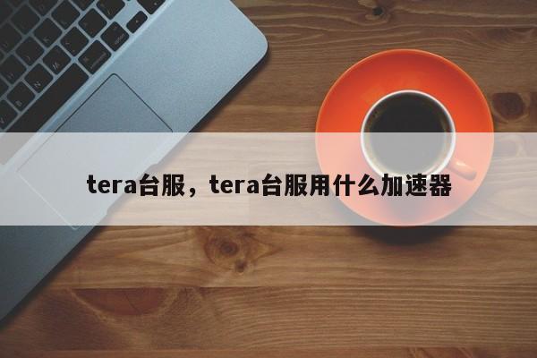 tera台服,tera台服用什么加速器