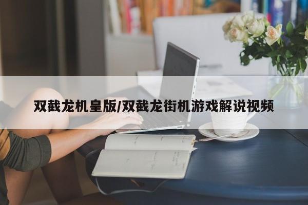 双截龙机皇版/双截龙街机游戏解说视频