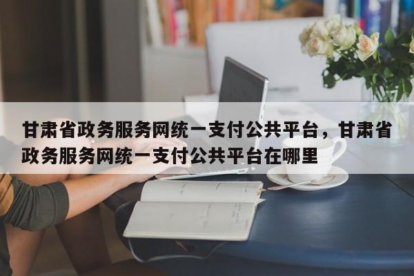 甘肃省政务服务网统一支付公共平台,甘肃省政务服务网统一支付公共平台在哪里